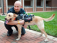 a dog with the high-tech harness