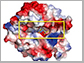 a molecular model of the KDM5A enzyme