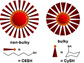 side-by-side ligands