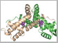 protein PcaV in the presence of protocatechuate