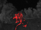 a sensory neuron (red) in lung tissue (gray)