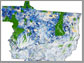 graph showing forest cover in Mato Grosso, Brazil