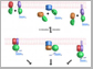 cell membrane code