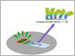 News thumbnail of schematic drawing of monolayer