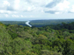 view of Panama's rainforest canopy