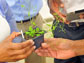 two people holding a plant