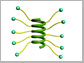 coiled proteins