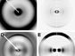 fiber diffraction patterns