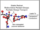 the structure of a polymer