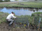 Sinead Crotty checks a cage of Sesarma crabs