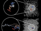 diffusion of Spherical Probe