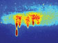 photo of five plasma irregularities