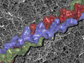 synthetic collagen fibrils