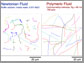 motion of E.coli in fluids