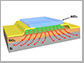 array of printed transistors on plastic