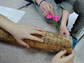 students measure the damage to a tree trunk