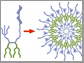 vesicle