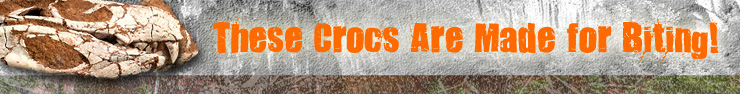 Special Report - These Crocs Are Made for Biting!