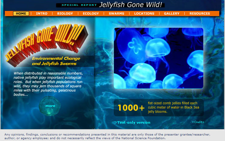 Cover of Jellyfish Gone Wild special report