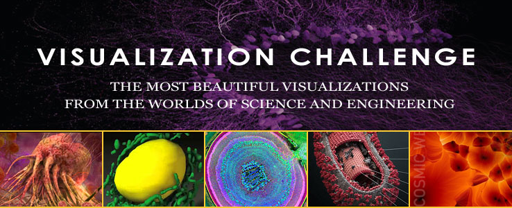 testo e illustrazioni: internazionale di scienza e ingegneria Visualization Challenge, la Scienza e la Engineering Bilancio più potenti non sono fatti da parole da sole