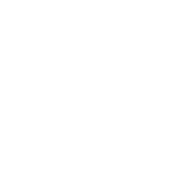 NSB Logo