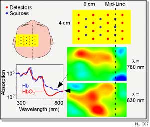 Blood oxygen level in an infant brain