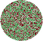 Simulated 2-dimensional cross section of a 3-dimensional packed particle structure of green ZnO and red Al2O3 particles (50/50 vol%).