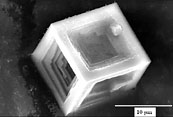 SEM micrograph of a-Al2O3 particles, 600 to 800 nm in size having polyhedron morphology, obtained by glycothermal synthesis.