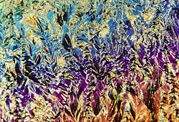 Polarized light microscopy is used for direct observation of materials during freezing and freeze drying.