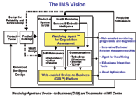 The IMS Vision