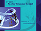 Agency Financial Report cover