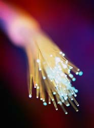 fiber optic cables