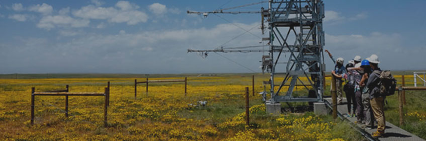  Researchers examine a tower at a National Ecological Observatory Network site in Colorado
