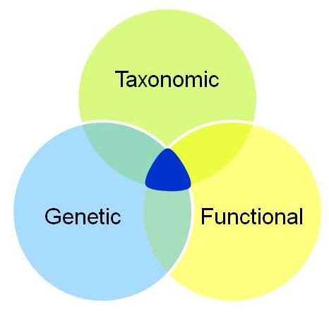 3 dimensions of biodiversity