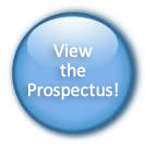 [Link to the Plan Prospectus]