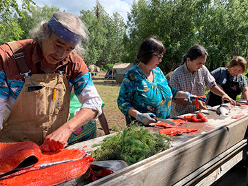 salmon camp