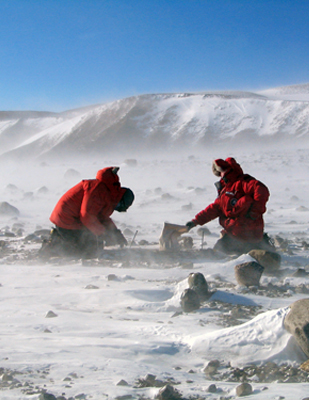 Geologists in the Transantarctic Mountains.