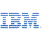 IBM        logo