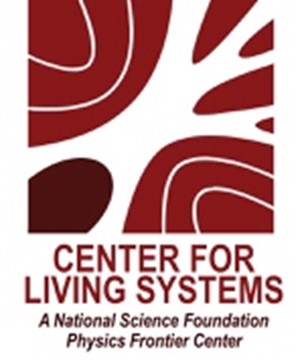 Logo for Center for Living Systems