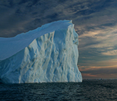 emperor penguins approaching a tent