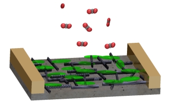 Illustration of the carbon nanotube network device