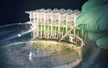 closeup image if a researcher's hand working with a sample in a petri dish