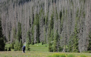 Researcher in a forested mountain area