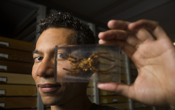 Ralph Washington Jr. holding an insect sample