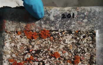 Close-up of life on the tombstones in Dory Hill Cemetery.