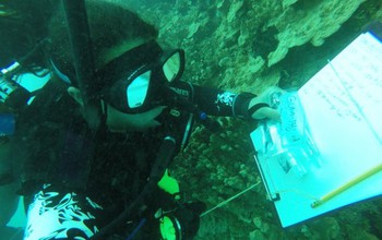 Scripps Institution of Oceanography scientists study marine sponges in the waters off Guam.