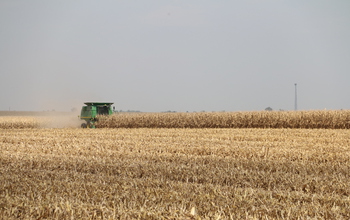 Harvester in corn field