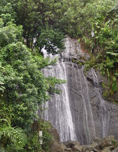 A Luquillo waterfall; such waterfalls are often found at river knickpoints.