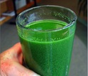 A cup of fouled water, scooped from Lake Erie during the 2011 algae bloom.