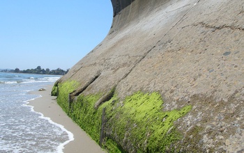 Seawall in the intertidal zone of a sandy beach in Santa Barbara County, California.